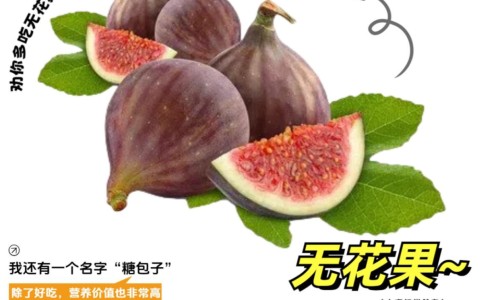 不出林的功效与作用又有哪些副作用-不出林的功效与主治、不出林的功效与主治不出林是哪个地方有 -不出林的功效网