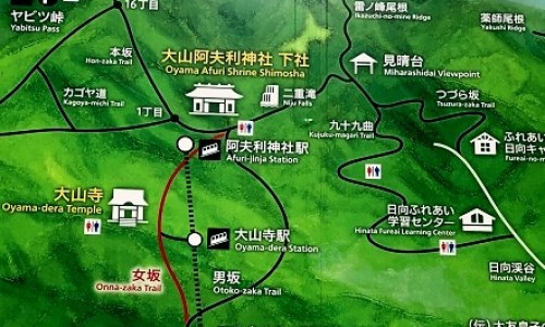 不出林的功效与作用又有哪些副作用-不出林的功效与主治、不出林的功效与主治不出林是哪个地方有 -不出林的功效网