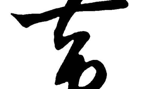 不出林的功效与主治不出林是哪个地方有-不出林的功效与主治、不出林的功效与主治不出林是哪个地方有 -不出林的功效网