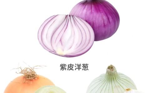 不出林的功效与主治、不出林的功效与主治不出林是哪个地方有 -不出林的功效网